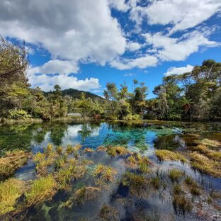 Te waikoropupu