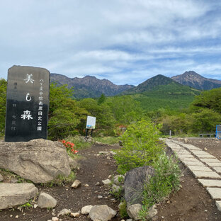 美し森展望台