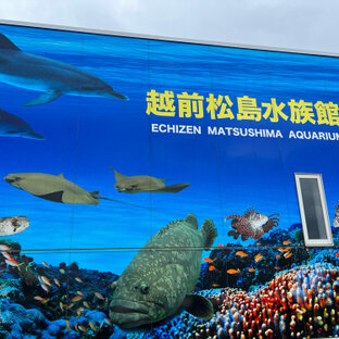 越前松島水族館