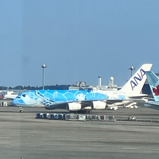 成田国際空港第１旅客ターミナル