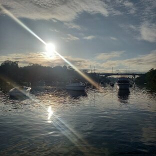 Huntleys Point