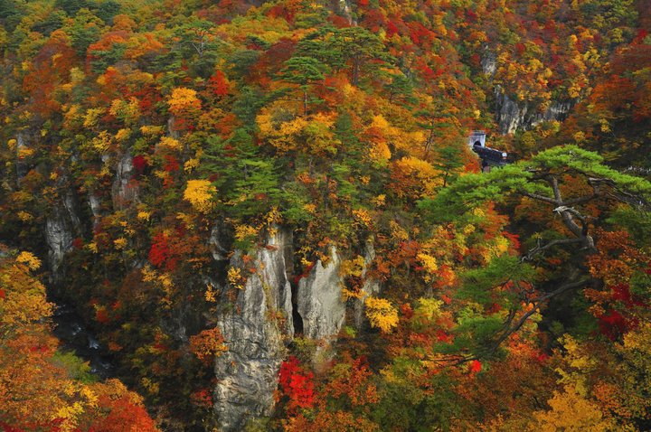 もうすぐ見頃。極彩色に染まる、宮城･鳴子峡の紅葉さんぽ