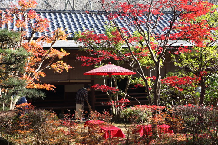 紅葉が美しい「佐倉城址公園」