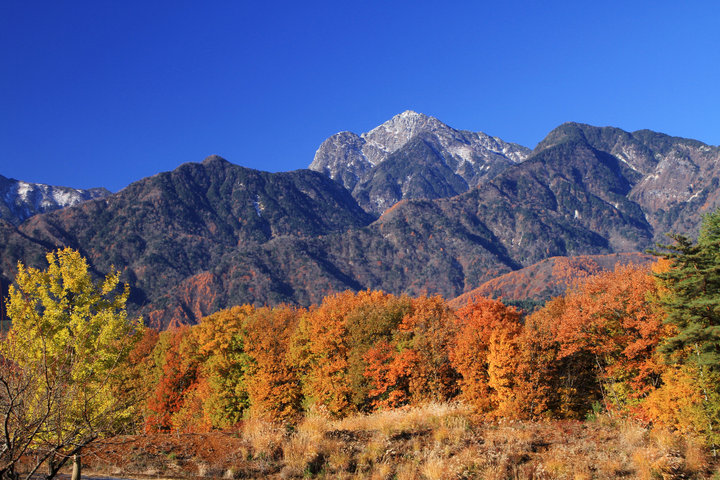 紅葉シーズン到来！ 初めてでも楽しめる南アルプスの絶景ハイク＆グルメ旅