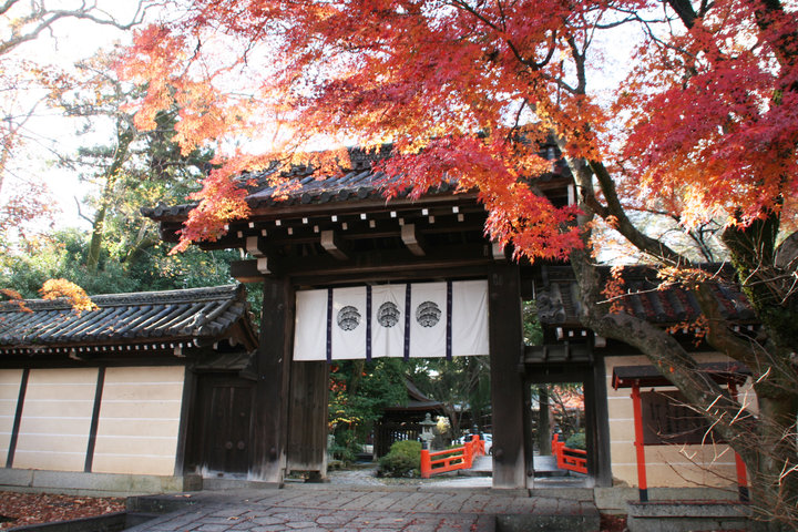 鮮やかな紅葉が彩る 秋のしっとり鞍馬口通さんぽ