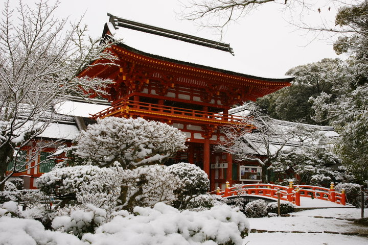 すがすがしい新春の上賀茂神社と紫竹さんぽ