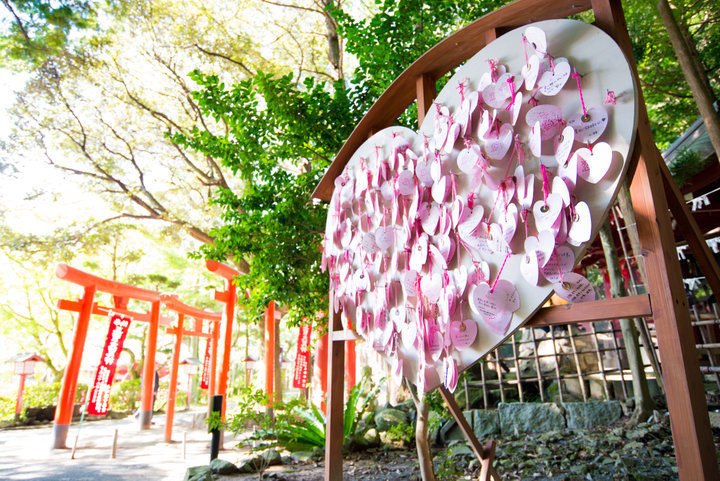 あのCMに登場した光の道から日本一おしゃれなお守りまで。初詣に行きたい福岡の神社4選