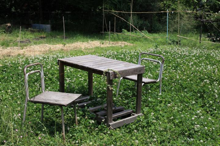 洋裁学校の裏庭にある、ノスタルジックな雰囲気の隠れ家カフェ