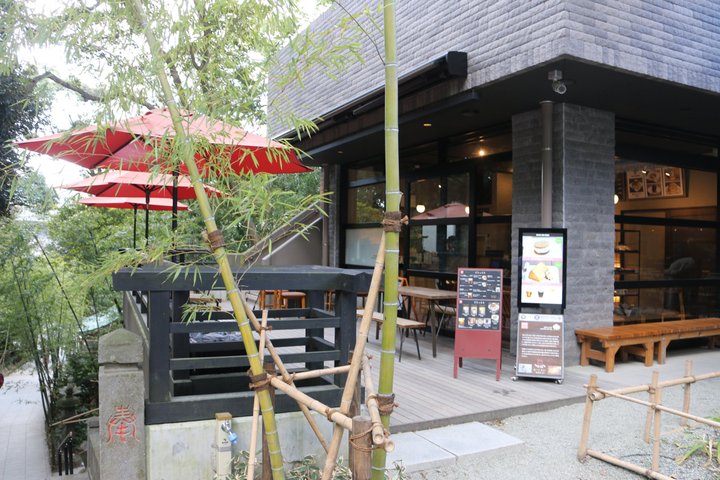 spot