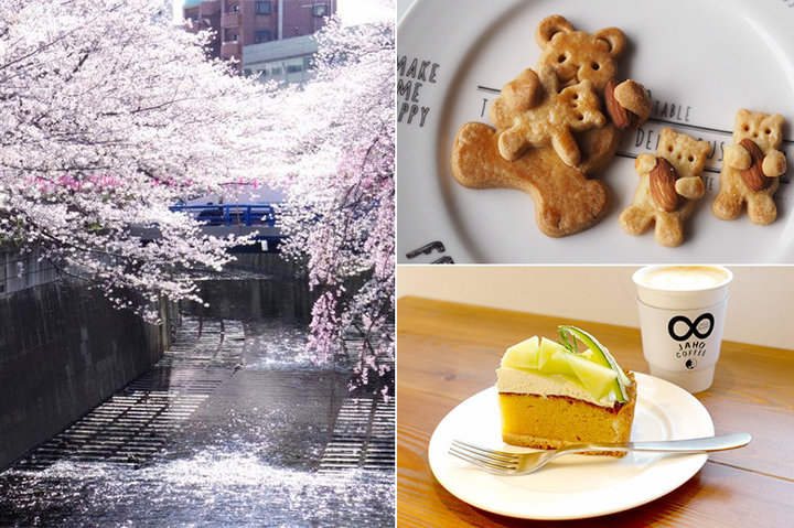 目黒川 約800本のソメイヨシノが見られる 桜並木周辺のおしゃれなお店 ことりっぷ