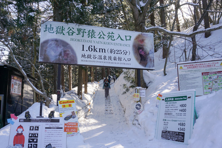 地獄谷野猿公苑 - （長野県）の詳細情報 ｜ ことりっぷ