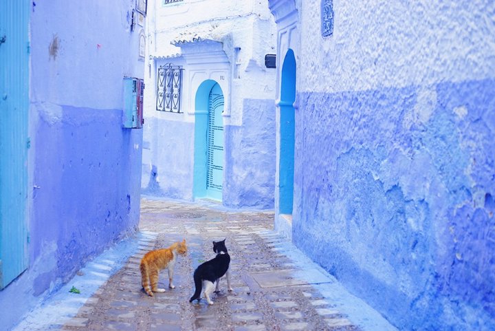 魅惑の国モロッコでやりたいこと5つ ことりっぷ