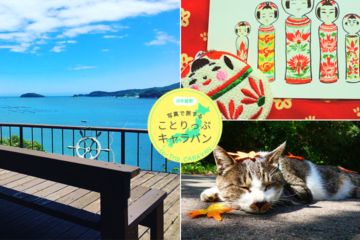 宮城県は仙台だけじゃない！三陸の海を見渡す絶景カフェから猫好きの楽園・田代島まで｜ことりっぷフォト