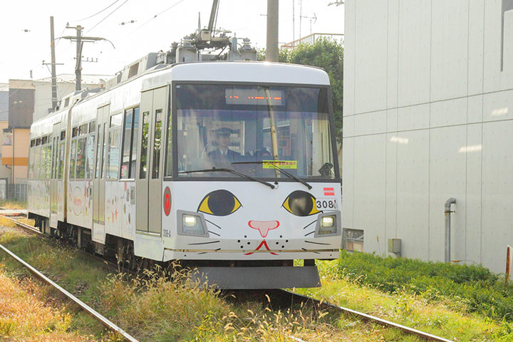 世田谷線ねこさんぽ＃1ーつり革も床も！内装まで猫だらけな電車にのって、招き猫発祥の地へ ｜ ことりっぷ