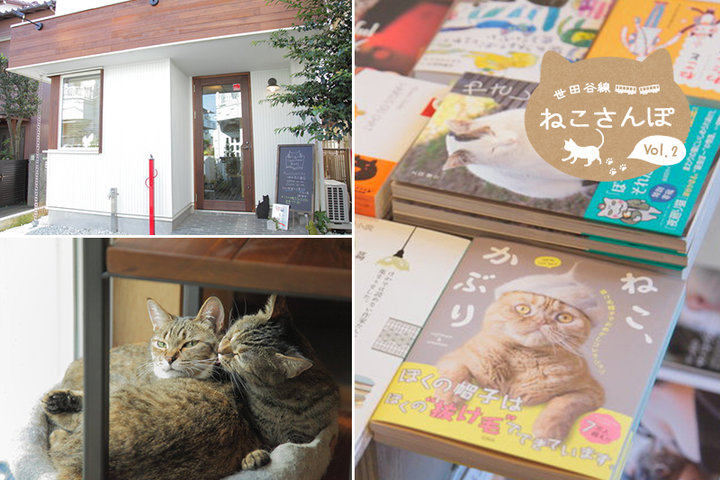 世田谷線ねこさんぽ＃2− 猫の店員も大活躍！ 猫の本がいっぱいのお店「キャッツ ミャウ ブックス」