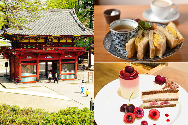 初詣にいかが 根津神社と 参拝後に行きたい谷根千エリアのカフェ6選 ことりっぷ