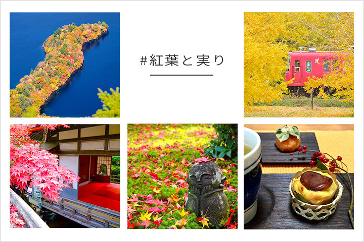 「#紅葉と実り」入賞者|写真投稿コンテスト