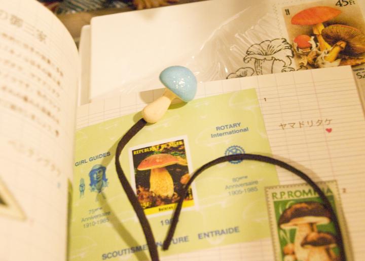 何時間でもいられそう♪ 個性的な古本店「リズム&ブックス」