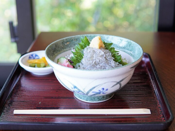 江の島・七里ガ浜周辺のおすすめランチ７選。生しらす丼から海が見えるカフェまで