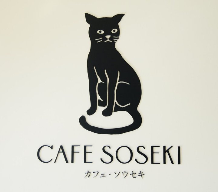 spot