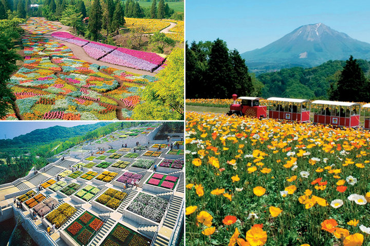 【西日本】見渡す限りの花畑！春を体感できる花スポット＆イベント