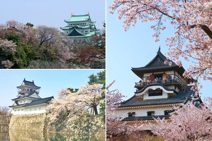 今週の人気投稿【お城と桜編】ユーザーのアプリ投稿写真をご紹介♪