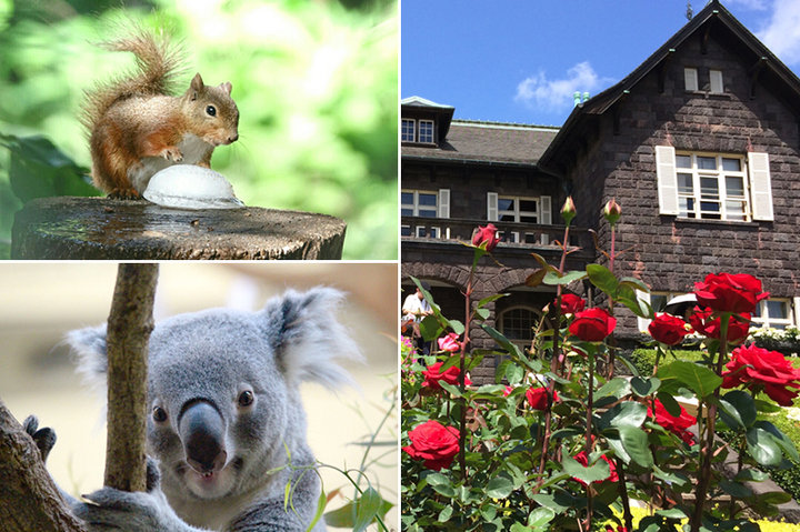 5月4日は「みどりの日」。入場無料になる都内の動物園と公園10選