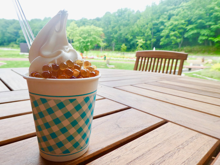 雲海が見えるかも♪北海道「道の駅あかいがわ」で見つけた、つぶつぶ食感が楽しいパフェ&ジェラート