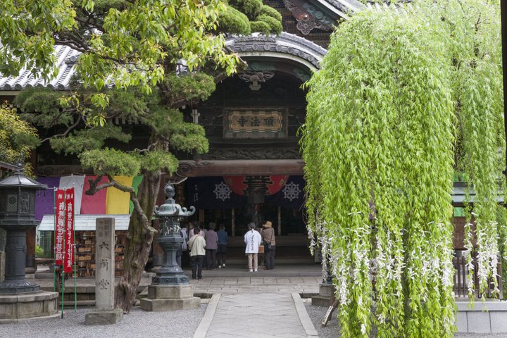 京都の名所「六角堂」がきれいに見下ろせる!ヒミツにしたい絶景スポット