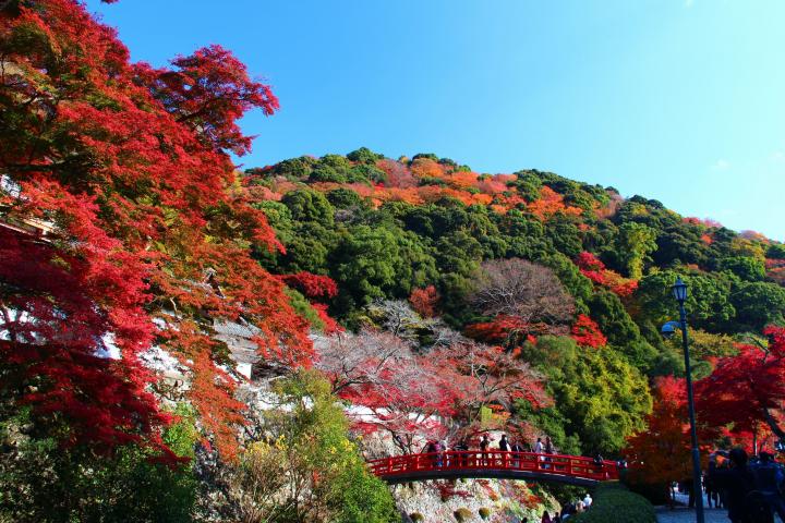 大阪 梅田から電車で約30分 紅葉の名所 箕面 で秋旅を満喫 ことりっぷ