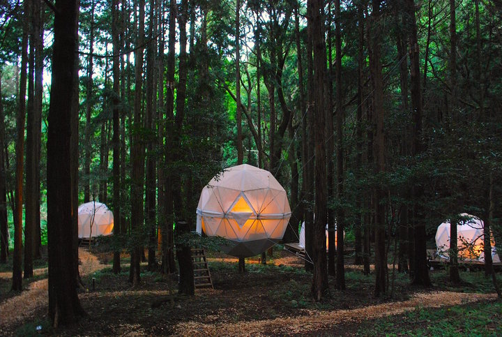 森の中に浮かぶ球体テントがかわいい!泊まれる公園「INN THE PARK」