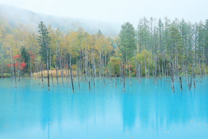 特集｜旅とカメラと】北海道・東川＆美瑛 深まる秋色をつかまえて