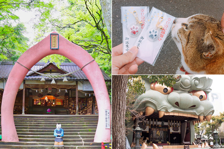 癒やしの猫寺から妖怪が集まる神社まで！個性派ぞろいの神社・お寺5選