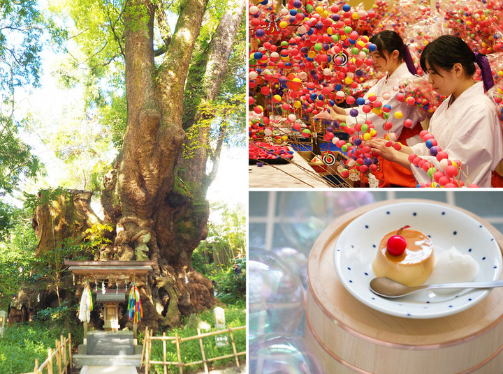 樹齢2100年超の大楠でパワーチャージ！初詣で訪れたい「來宮神社」と熱海のカフェ3選