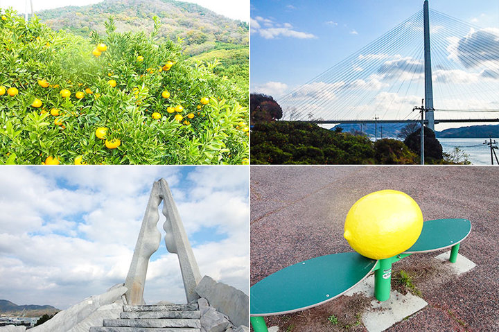 アートなレモンの島へ。しまなみ海道ドライブ旅【生口島編】｜編集部レポ