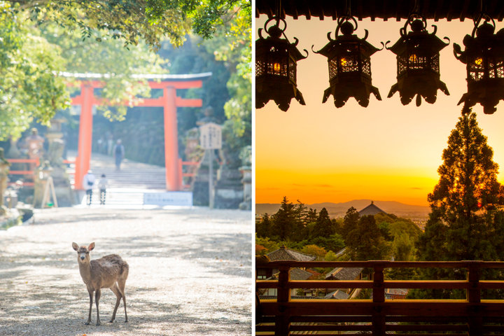 思わず撮りたくなる奈良のフォトジェニックなスポット7選♪