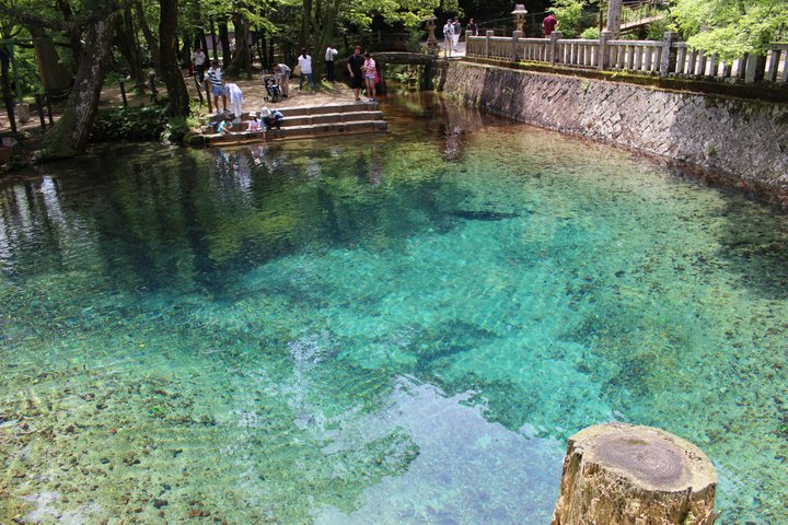 秋吉台の絶景に感動。春旅で訪れたい山口県美祢市で旅さんぽ