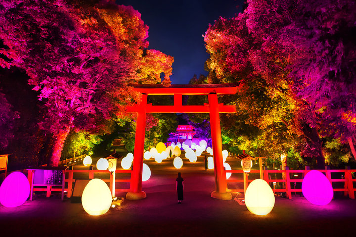 【京都】8/17-9/2|下鴨神社 糺の森の光の祭 Art by teamLab - TOKIO インカラミ