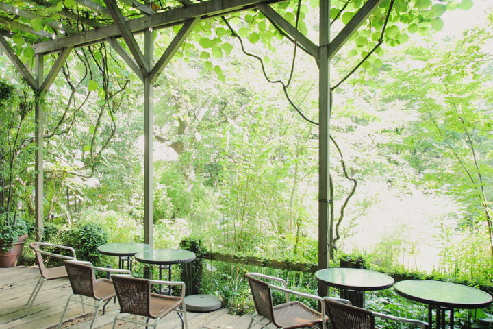 まるで緑の楽園。美しい森の風景に包まれる都内のヒーリングカフェ「フェリーチェ」