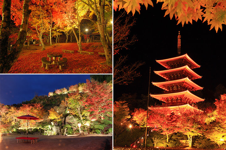 京都で穴場の限定ライトアップ 夜紅葉 スポット ことりっぷ