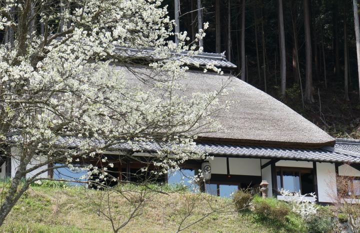 雲海に出会える天空の宿ー棚田に囲まれた築200年の古民家で過ごす、ゆったり時間