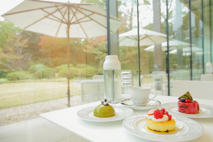 旧朝香宮邸の庭を眺めながら過ごすくつろぎの時間 東京都庭園美術館 Cafe Teien ことりっぷ