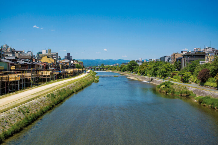 【京都よりみちこみち】千鳥の提灯ゆらめく路地を、舞妓さんが行き交う先斗町通：後半