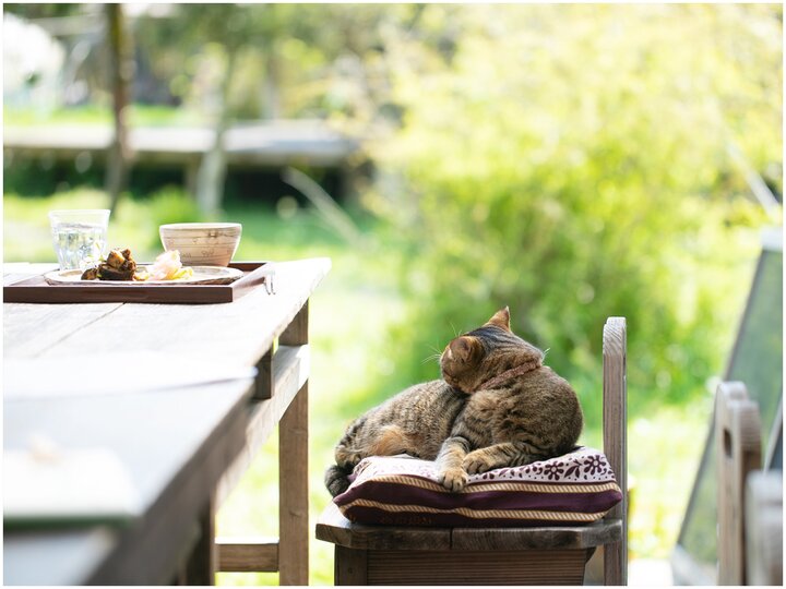 スローな時間と里山ごはんで体と心をリセット。房総「ブラウンズフィールド」