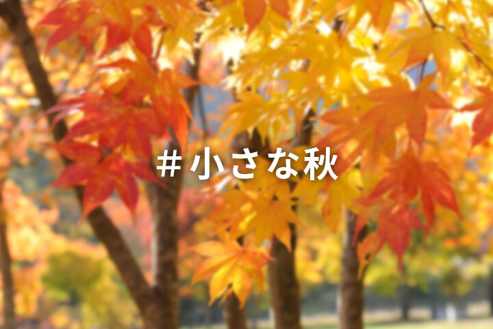 ことりっぷマガジンvol.26発売記念「#小さな秋」｜写真投稿コンテスト
