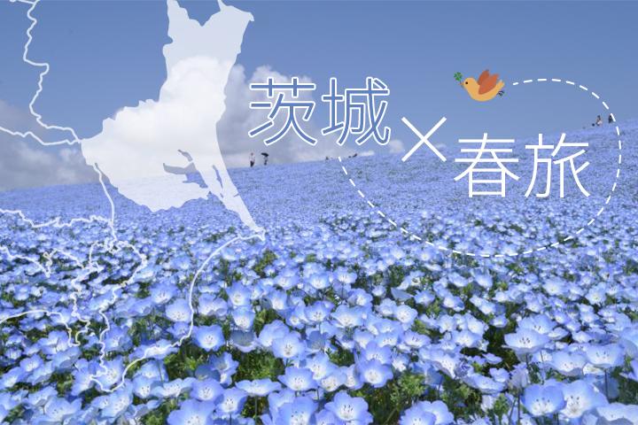 【連載】旬の梅から絶景まで!春に行くべき茨城の4つの魅力