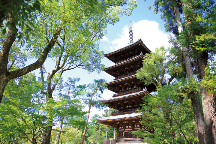 【京都よりみちこみち】ゆるやかな一本道で世界遺産を結ぶ、きぬかけの路とその周辺：後編