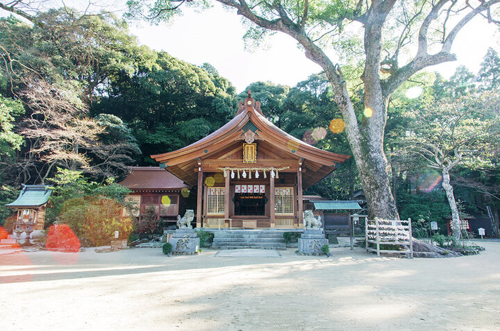 かわいらしい桜色の社務所が目を引く「竈門神社」