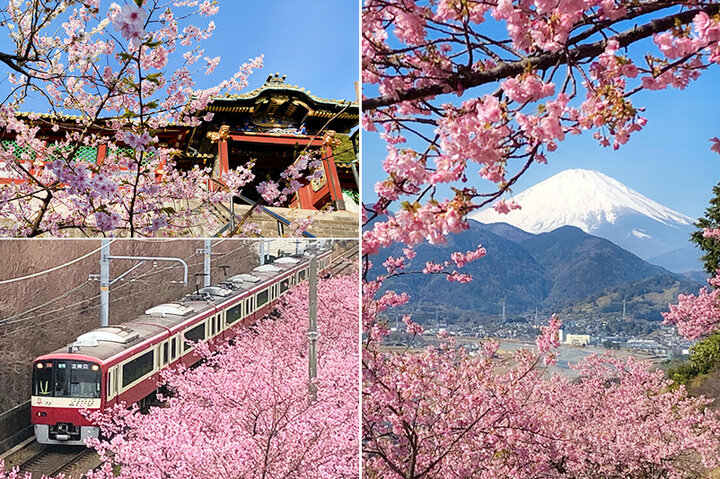 梅や早咲きの桜を愛でに♪関東近郊で見つけた、早春を彩る名所5選