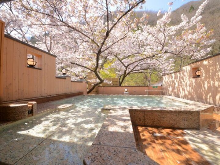 【宿・ホテル】客室や露天風呂から桜を楽しめる全国の宿7選